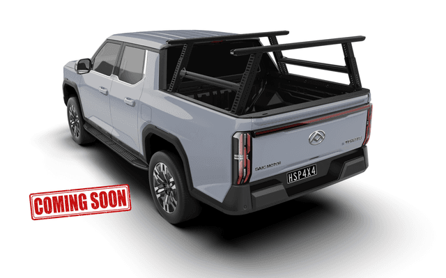 LDV Terron Ladder Rack