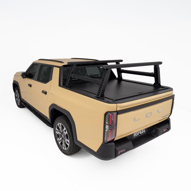 LDV Terron Ladder Racks