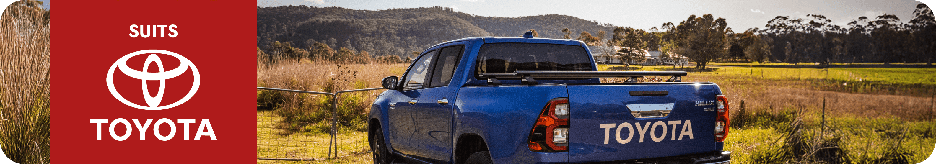 Tailgate Assist