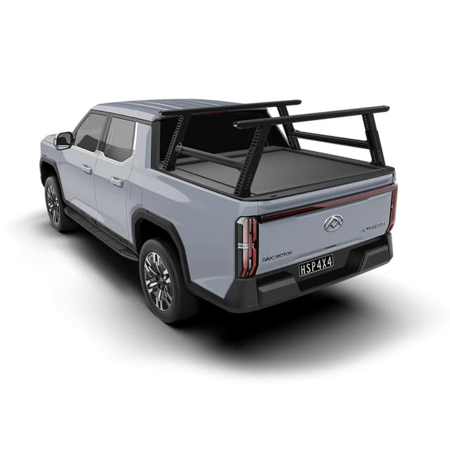 LDV Terron Ladder Racks